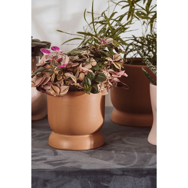 Ghiveci din ceramică Bahne & CO, ø 10,5 cm, maro-image-2