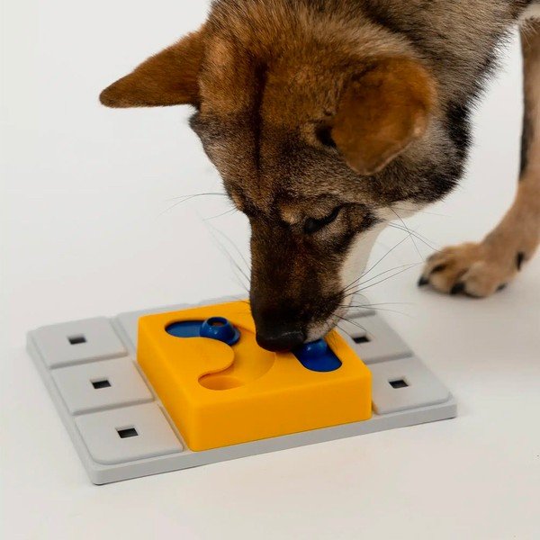 Puzzle pentru câini Kaya – Pawzler-image-2