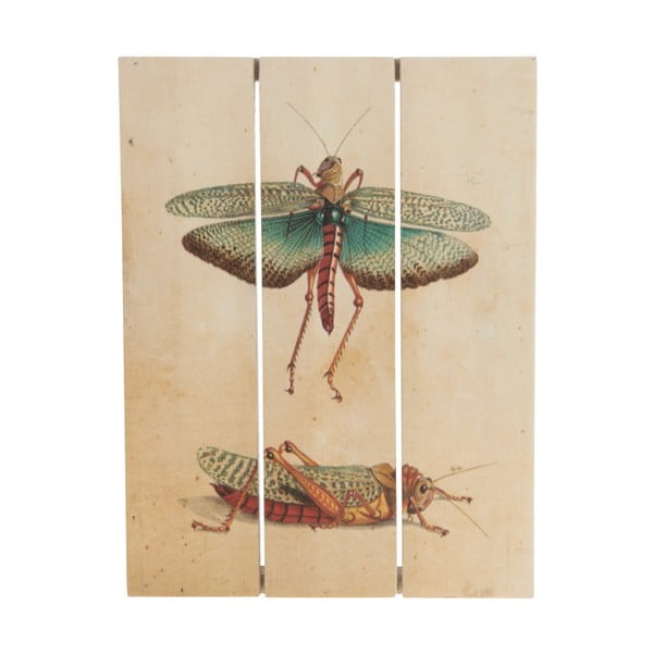 Imagine pe lemn, Dijk Natural Collections Grasshopper, 19x25 cm