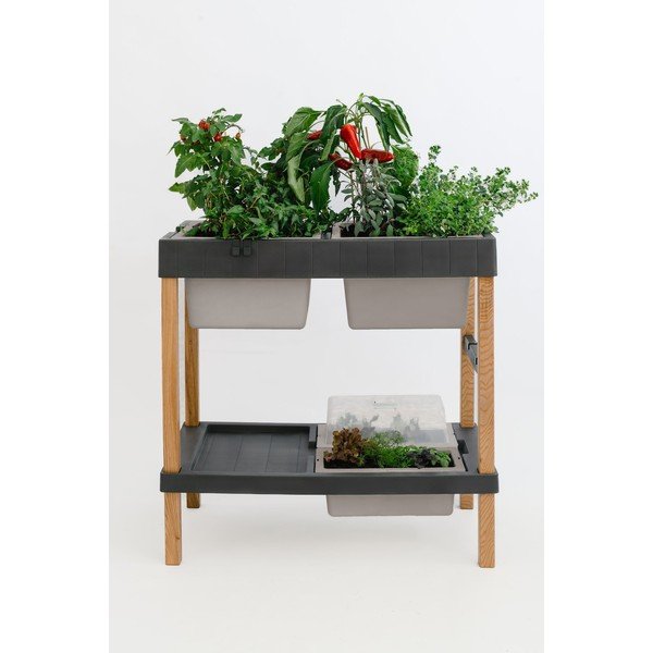 Pat ridicat de plante – Plastia-image-4