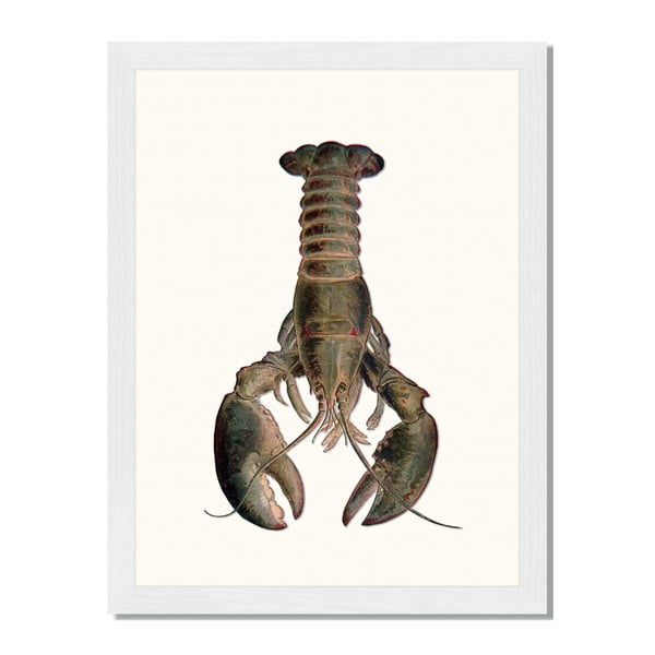 Tablou înrămat Liv Corday Asian Lobster, 30 x 40 cm