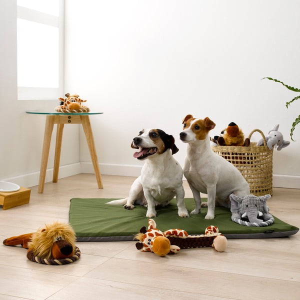 Jucărie pentru câine – Love Story-image-2