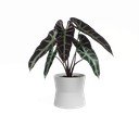 Ghiveci din ceramică ø 14 cm Diana – Artevasi