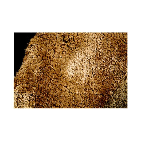 Covor Flair Rugs Botanical Saria, 150 x 240 cm-image-4