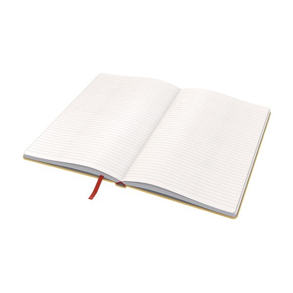 Caiet cu înveliș moale Leitz, 80 pag., galben-image-3