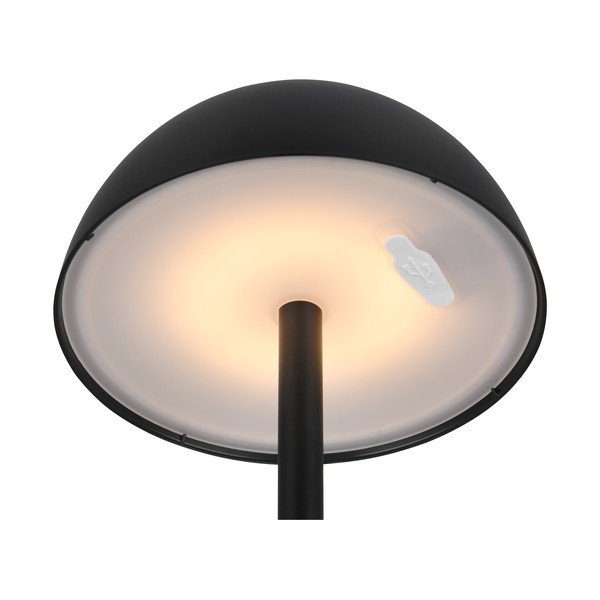 Corp de iluminat pentru exterior cu intensitate reglabilă ø 13,5 cm Ricardo – Reality-image-3