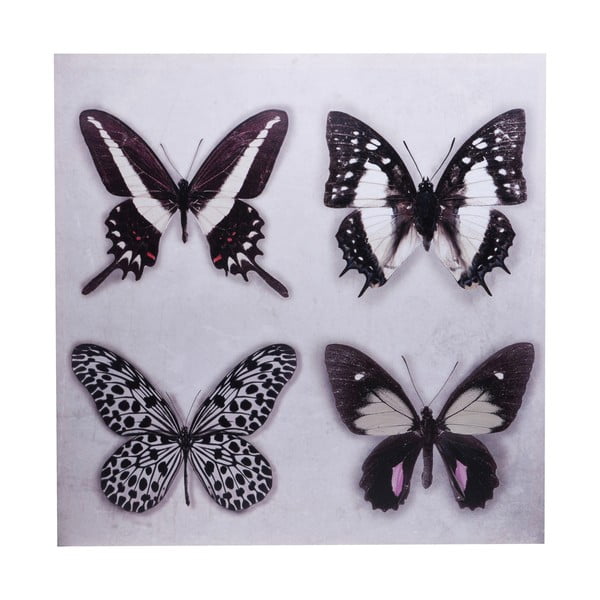 Tablou Ewax Black Butterflies, 60 x 60 cm