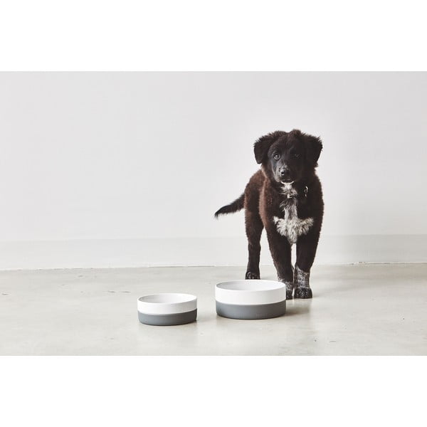 Bol pentru animale pentru câini din porțelan ø 21,5 cm Coppa Slate M/L – MiaCara-image-1