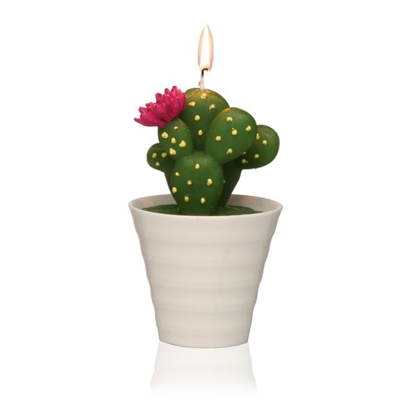 Lumânare decorativă în formă de cactus Versa Cactus Paol