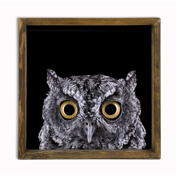 Tablou Owl, 34 x 34 cm