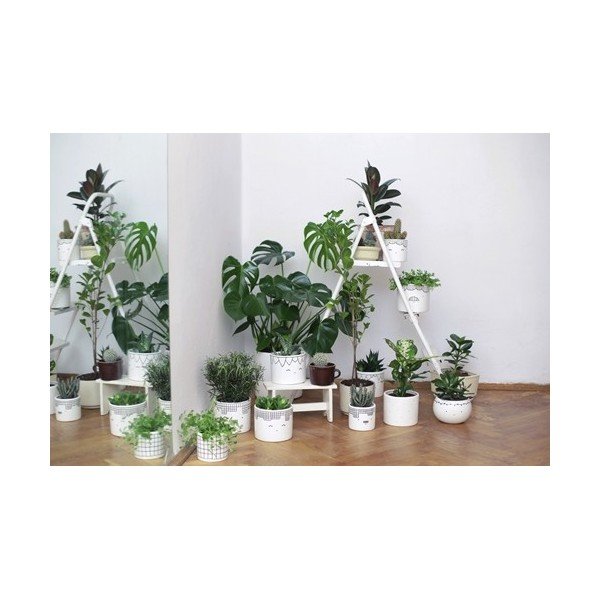 Ghiveci FOR.REST Design Strips, 11 cm-image-1