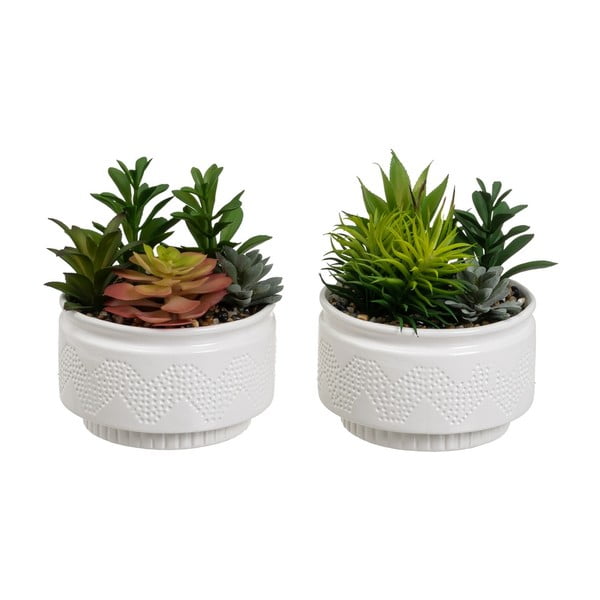Plante artificiale 2 buc. (înălțime 19 cm) Cactus – Casa Selección