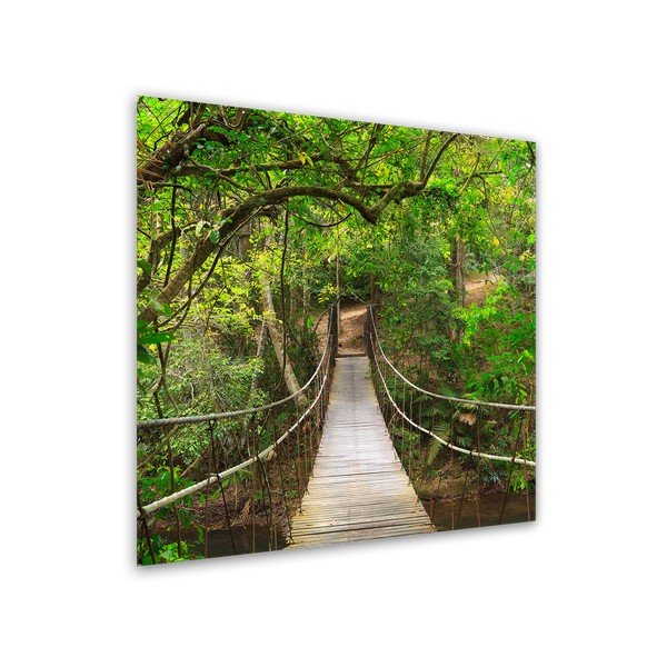 Tablou Styler Glas Nature Forest, 30 x 30 cm-image-1