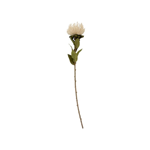 Plantă artificială (înălțime 60 cm) Protea – PT LIVING