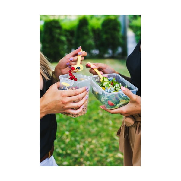 Cutie pentru prânz cu tacâmuri Vialli Design, 650ml+230m, verde-image-3