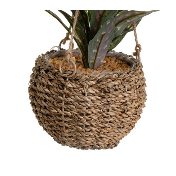 Plantă artificială (înălțime 25 cm) – Casa Selección-image-3