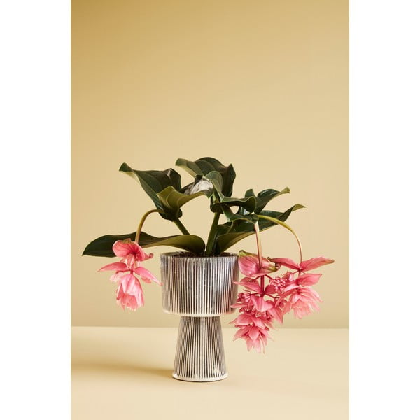 Set 2 ghivece din ceramică Hübsch Pot, bej - negru-image-4