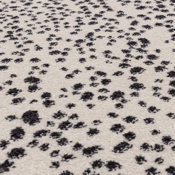 Covor negru-alb 160x230 cm Muse – Asiatic Carpets-image-2