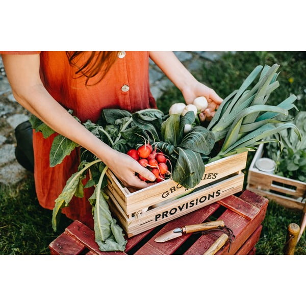 Unelte mici de grădină 2 buc. – Esschert Design-image-2