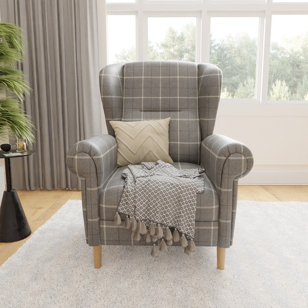 Fotoliu gri wing Swan – Ropez-image-1