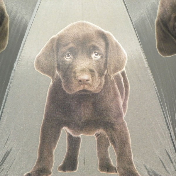 Umbrelă Mars&More Labrador Chocolate-image-2