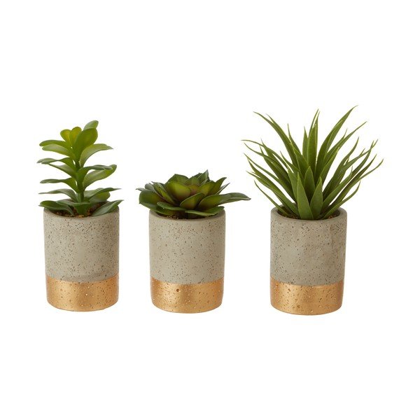 Set 3 plante suculente în ghiveci de ceramică Premier Housewares Fiori-image-1
