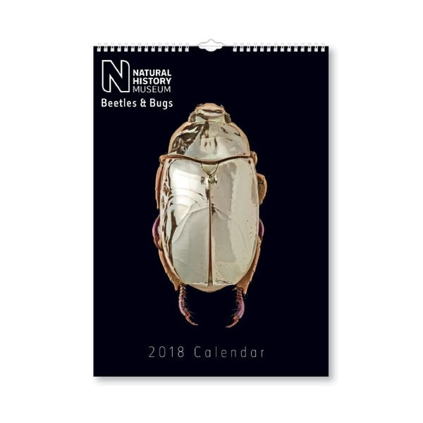 Calendar perete pentru anul 2018 Portico Designs Natural History Museum Beetles & Bugs, A3