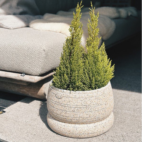 Ghiveci decorativ din beton ø 35 cm Bubble Bill – Paju Design-image-4