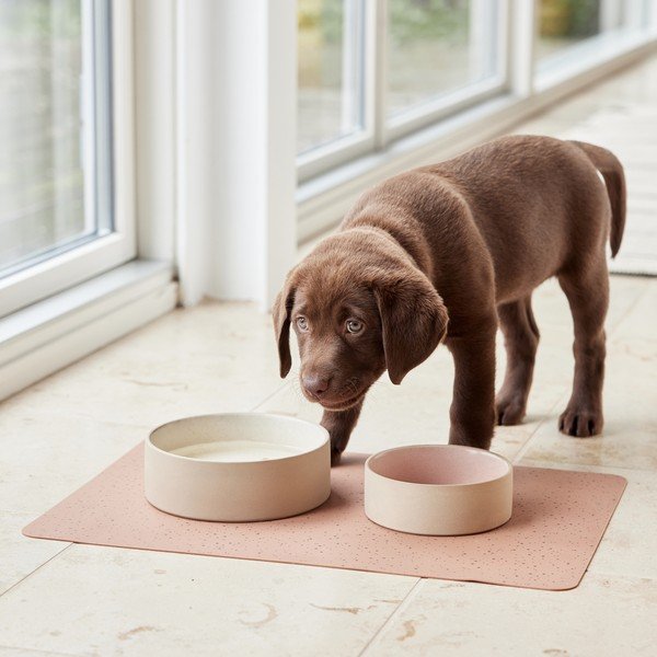 Bol pentru animale pentru câini din ceramică ø 13 cm Sia – OYOY Living Design-image-1
