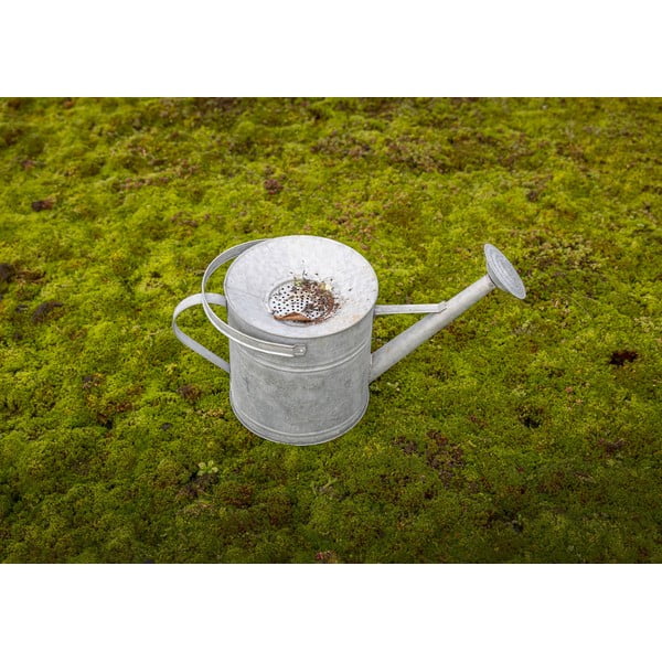 Stropitoare din metal 8 l – Esschert Design-image-1