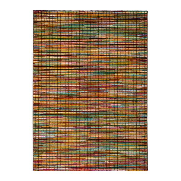 Covor Universal Panejo Kibuk, 160 x 230 cm