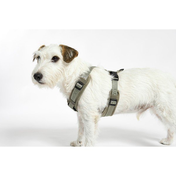 Ham verde L lungime 42 cm Modena Grolive L – MiaCara-image-3