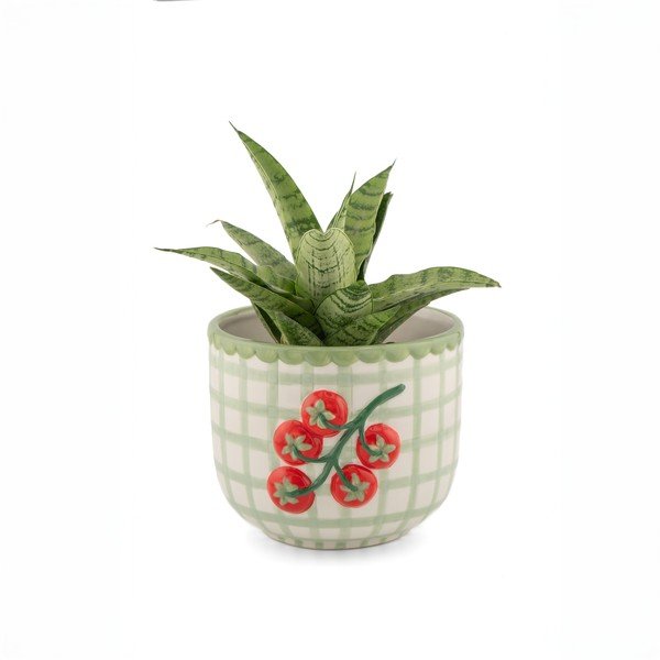 Ghiveci decorativ din porțelan pictată manual ø 12 cm Tomato – Sass & Belle-image-1