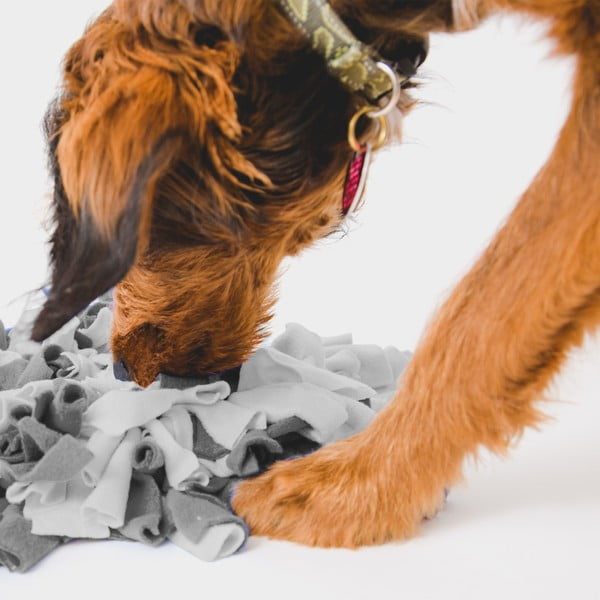 Covoraș interactiv – Love Story-image-1