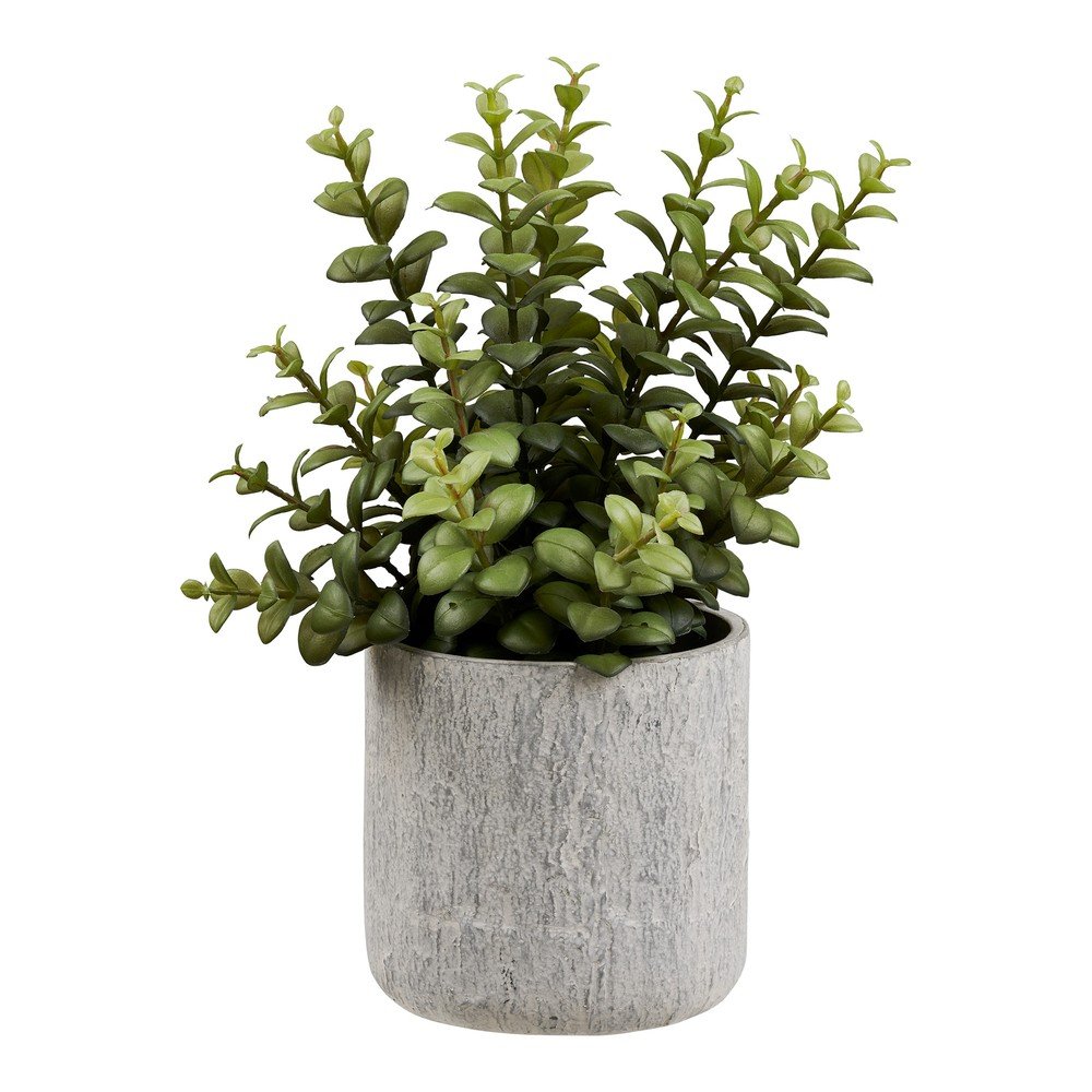 Plantă artificială (înălțime 33,5 cm) Succulent – House Nordic