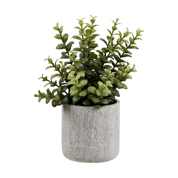 Plantă artificială (înălțime 33,5 cm) Succulent – House Nordic