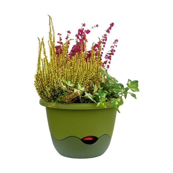 Ghiveci de agățat cu sistem de auto-irigare Plastia Mareta, lungime 25, verde-image-2