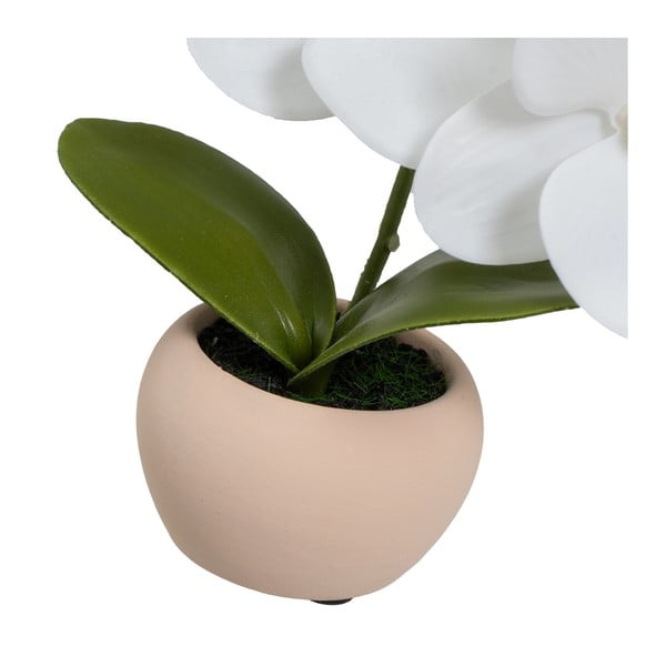 Plante artificiale 3 buc. (înălțime 15 cm) Orchid – Casa Selección-image-4