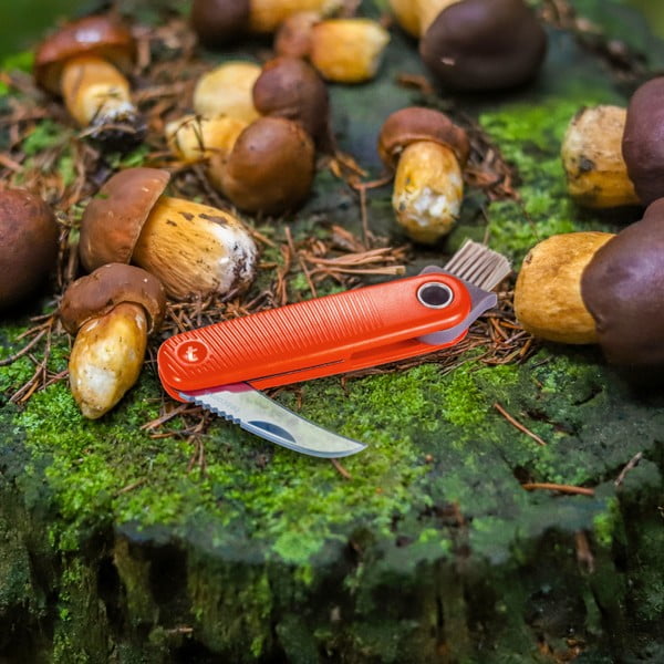 Cuțit de buzunar Move – Tescoma-image-1