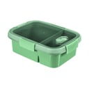 Cutie pentru prânz Curver To Go Dual, 900 ml, verde