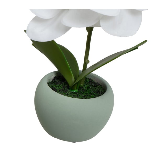 Plante artificiale 3 buc. (înălțime 15 cm) Orchid – Casa Selección-image-3