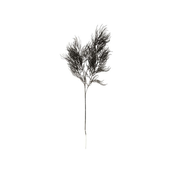 Plantă artificială (înălțime 86 cm) Asparagus Fern – PT LIVING
