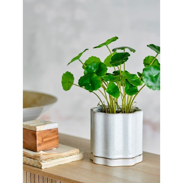 Ghiveci din gresie pentru ierburi aromatice ø 13 cm Argyle – Bloomingville-image-1