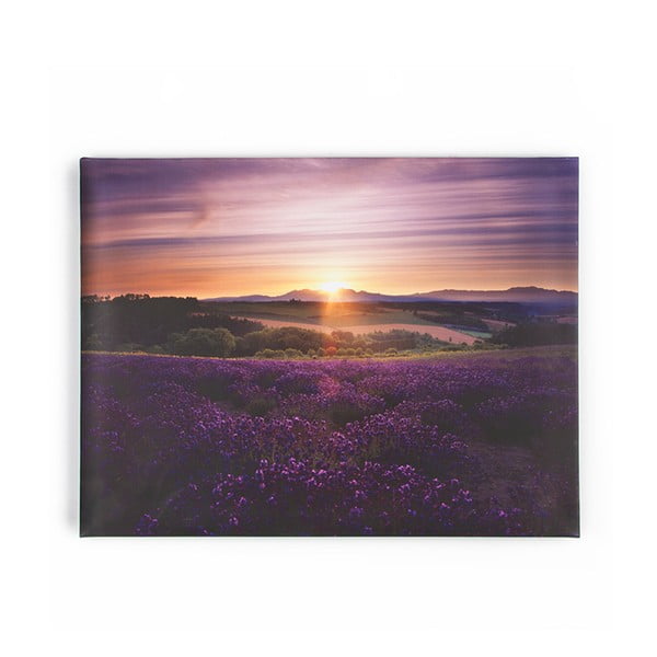 Tablou Graham & Brown Lavendar Sunset, 80 x 60 cm