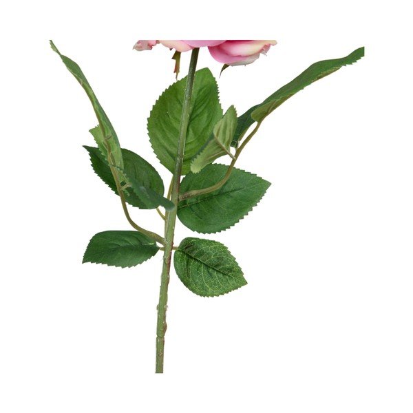 Plantă artificială (înălțime 43 cm) Rose – Ixia-image-2
