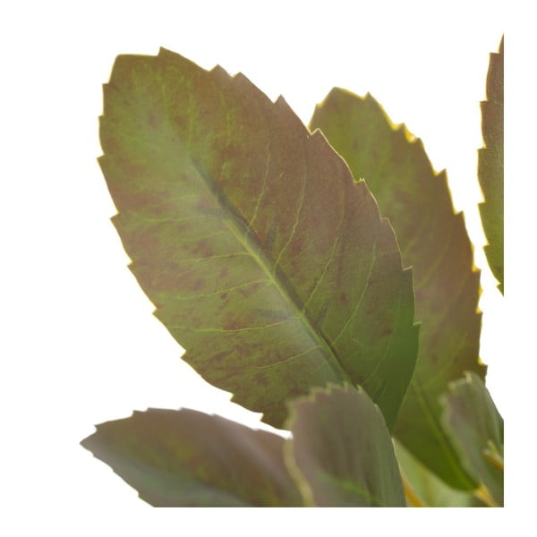 Creangă artificială (înălțime 37 cm) Lemon Tree – Ixia-image-2