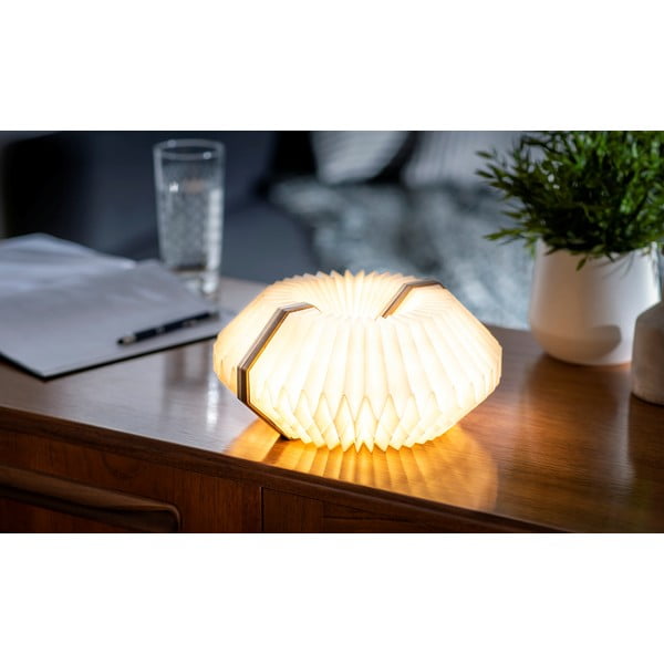 Decorațiune luminoasă în culoare naturală deschisă cu USB Accordion – Gingko-image-3