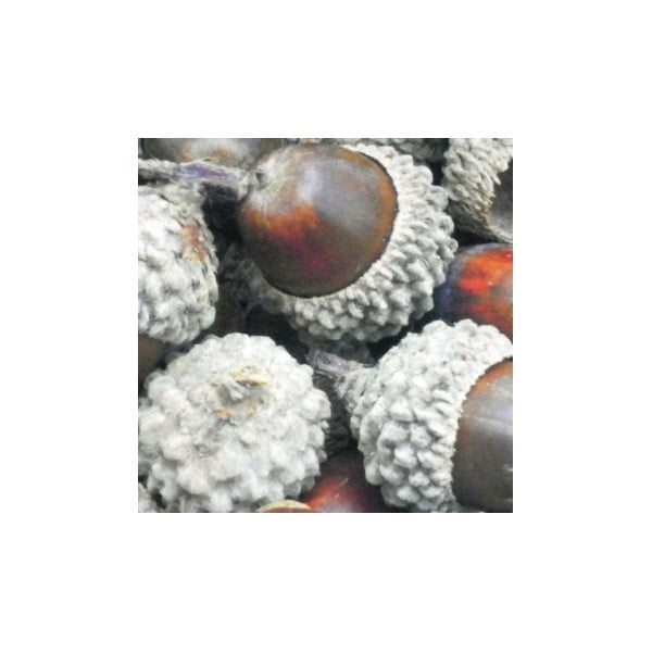 Carpetă Acorn 75x50 cm-image-1