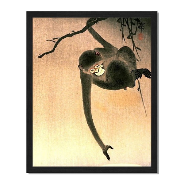 Tablou înrămat Liv Corday Asian Tree Monkey, 40 x 50 cm