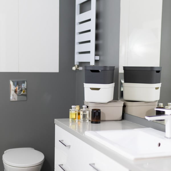 Cutie de depozitare din plastic cu capac Deco  - Rotho-image-1